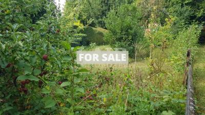 Village House, Ideal Holiday Home Project