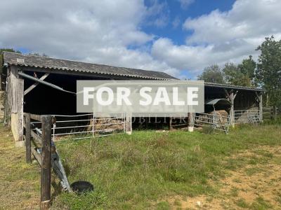 Barn to Renovate in the Countryside