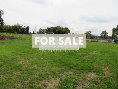 Detached Country House with Open Views