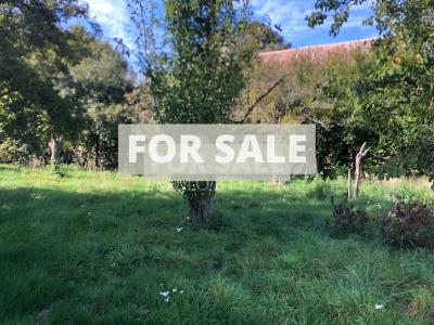 Country House to Improve with Garden