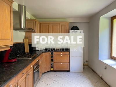 Two Houses For Sale in Rural Village