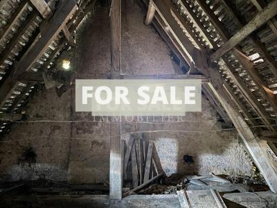 Two Houses For Sale in Rural Village