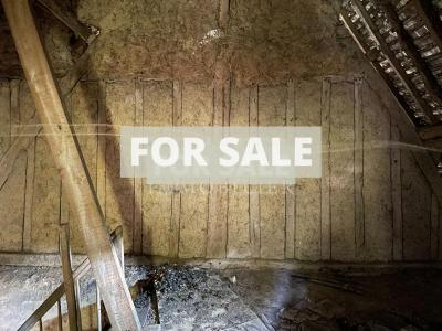 Two Houses For Sale in Rural Village