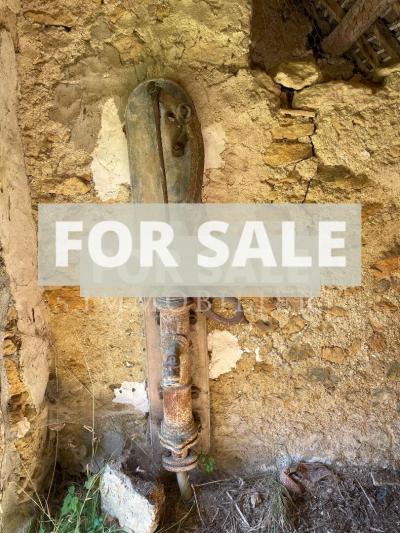 Two Houses For Sale in Rural Village