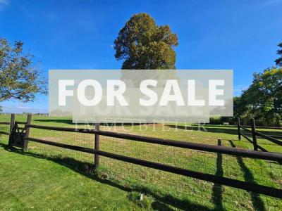 Detached Country House with Open Views