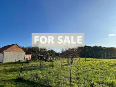 Detached Country House with Outbuilding