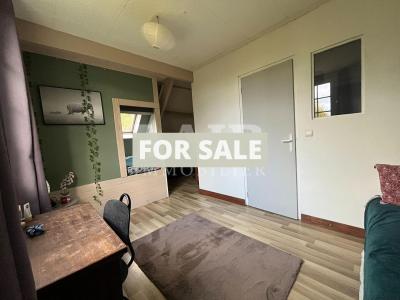 Detached Country House with Landscaped Garden