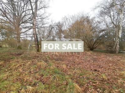 Detached Country House with Land