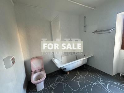 Detached House with Garden and Pond