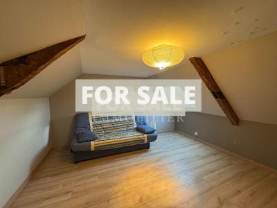 Traditional House with Mature Garden