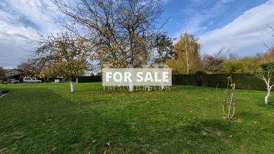 Stone Longere House with Outbuildings
