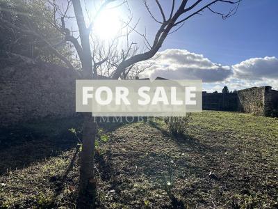 Lovely Village House, Ideal Holiday Home