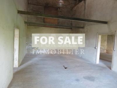 Detached Country House with Outbuilding