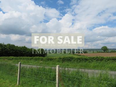 Detached Country House with Open Views