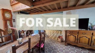 Habitable French Village House with Character