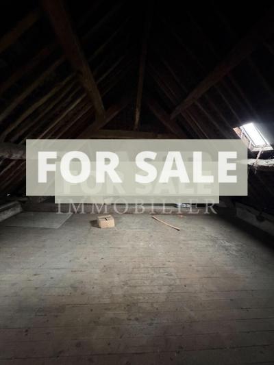 Traditional House with Garden