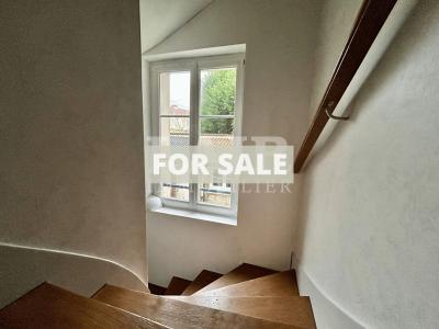 Town House with Nice Garden