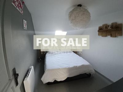 Fully Renovated Beautiful House and Garden