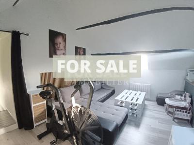 Fully Renovated Beautiful House and Garden