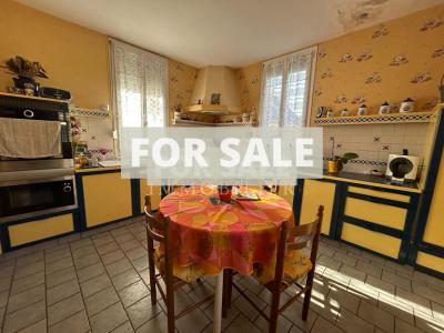 Manor House with Terrace and Garden