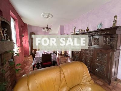 Manor House with Terrace and Garden