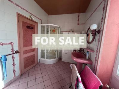 Manor House with Terrace and Garden