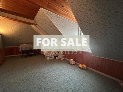 Manor House with Terrace and Garden