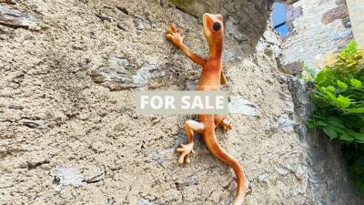 Charming House With Garden And Garage