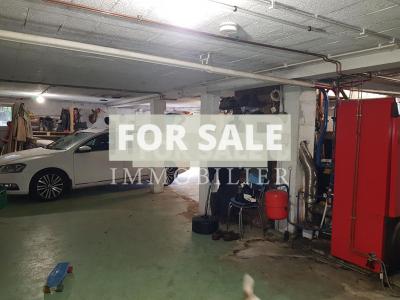 Detached House and a Guest Gite, Lovely Garden