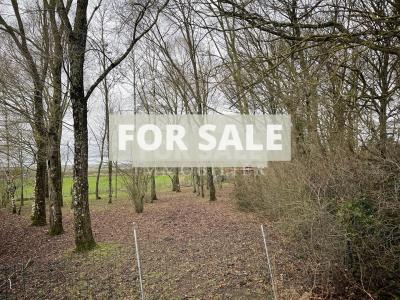 Detached Country House with Open Views