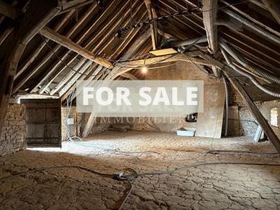 Village House with Strong Potentiual