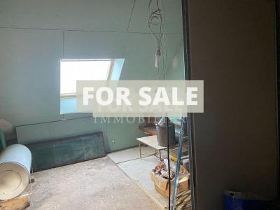 Detached Country House with Outbuilding