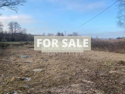 Detached Country House with Outbuilding