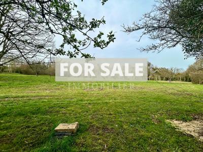 Detached Country House with Outbuildings and Land