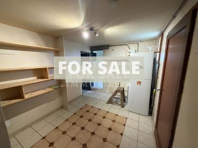 Detached Country House with Garden