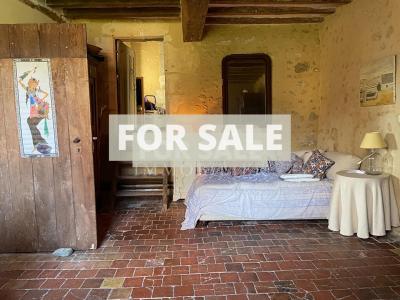 Detached Country House with Lake and Land