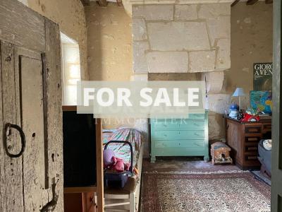 Detached Country House with Lake and Land