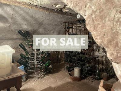 Detached Country House with Lake and Land