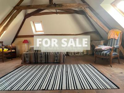 Detached Country House with Lake and Land