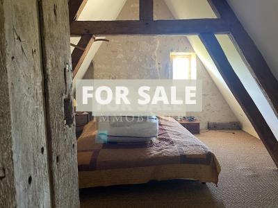 Detached Country House with Lake and Land