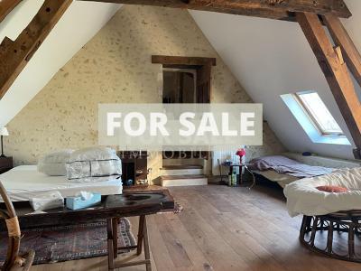 Detached Country House with Lake and Land