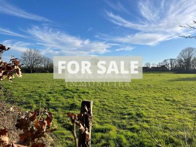 Detached Country House with Lake and Land