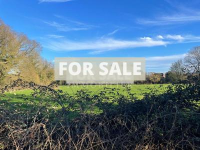 Detached Country House with Lake and Land