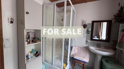 Detached Country House with Pond and Land