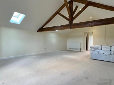 Renovated Detached House, Spacious And Comfortable