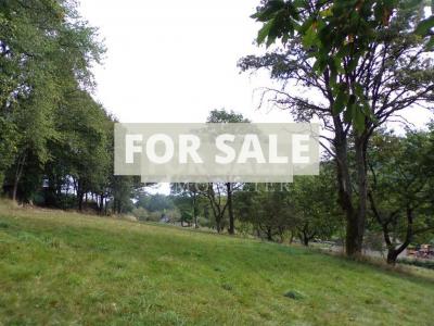 Detached Country House with Landscaped Garden