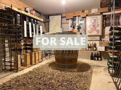 Magnificent House Full of Character with Garden