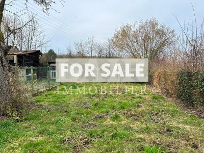 Period Property with Lots of Character