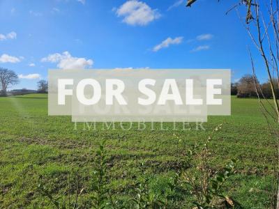 Beautiful Character Detached Country House