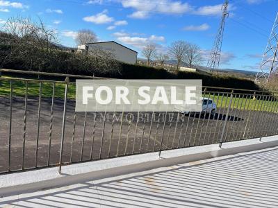 Detached House with Garden in Great Location